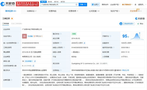 广东顺丰电子商务公司完成大幅增资，注册资本跃升至4亿元，发力国内贸易代理业务
